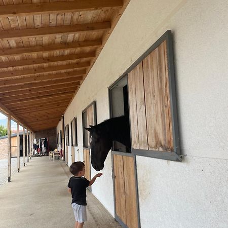 House Of Horses Shtepia E Kuajve Hotell Korce Eksteriør bilde