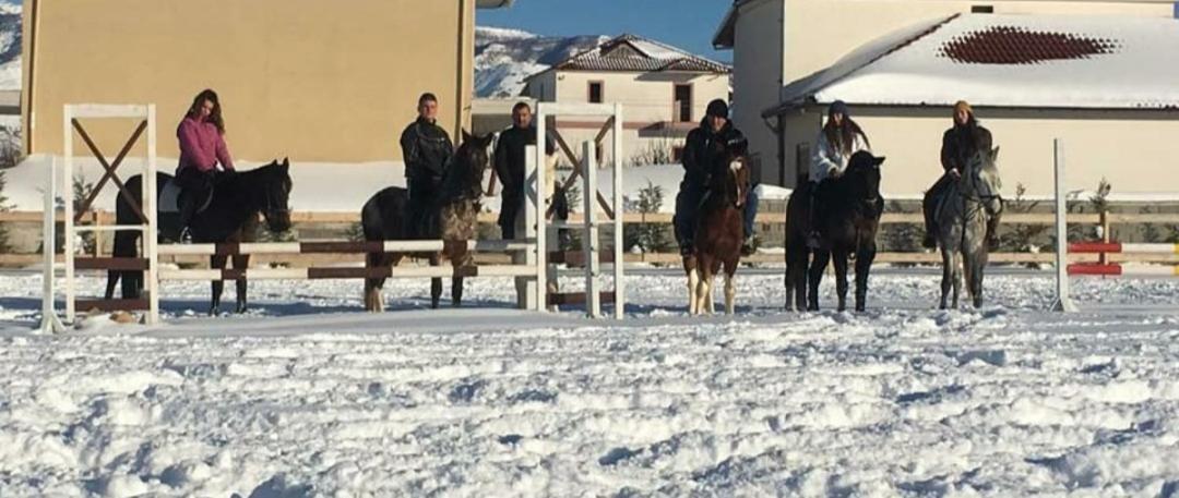 House Of Horses Shtepia E Kuajve Hotell Korce Eksteriør bilde